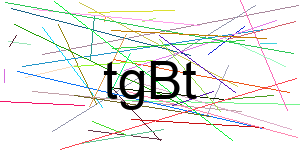 Verificação para Humanos