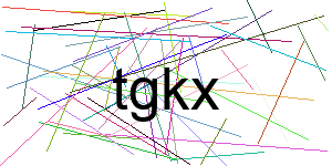 Verificação para Humanos