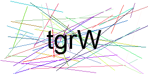 Verificação para Humanos