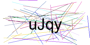 Verificação para Humanos