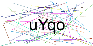 Verificação para Humanos