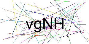 Verificação para Humanos