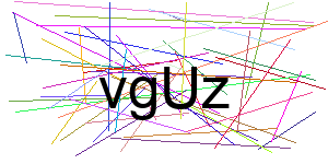 Verificação para Humanos