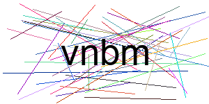 Verificação para Humanos