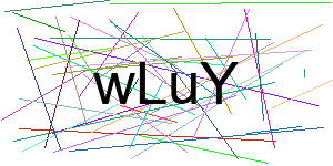 Verificação para Humanos