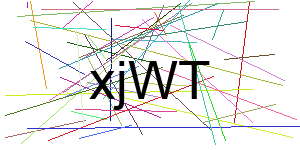 Verificação para Humanos