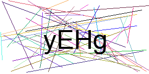 Verificação para Humanos