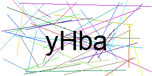 Verificação para Humanos