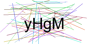 Verificação para Humanos