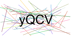 Verificação para Humanos