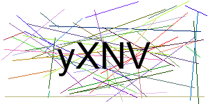 Verificação para Humanos