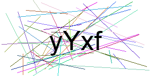 Verificação para Humanos