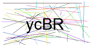 Verificação para Humanos