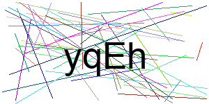 Verificação para Humanos