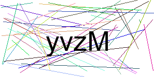 Verificação para Humanos