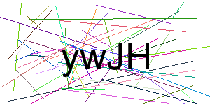 Verificação para Humanos