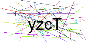 Verificação para Humanos