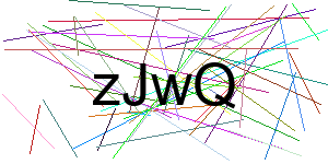 Verificação para Humanos