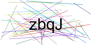 Verificação para Humanos