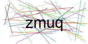 Verificação para Humanos