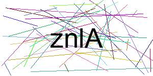 Verificação para Humanos