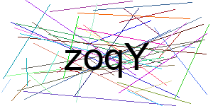 Verificação para Humanos