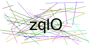 Verificação para Humanos