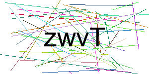 Verificação para Humanos