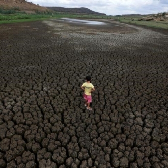 Nordeste corre contra o tempo para salvar cidades assoladas pela seca