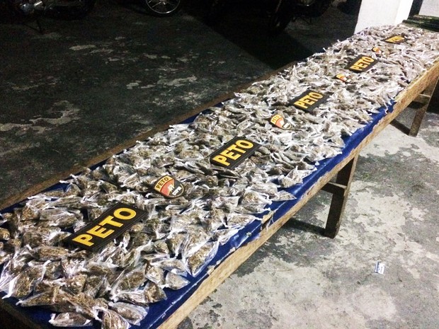 Polícia apreende 1.600 pacotes de maconha durante operação na Bahia