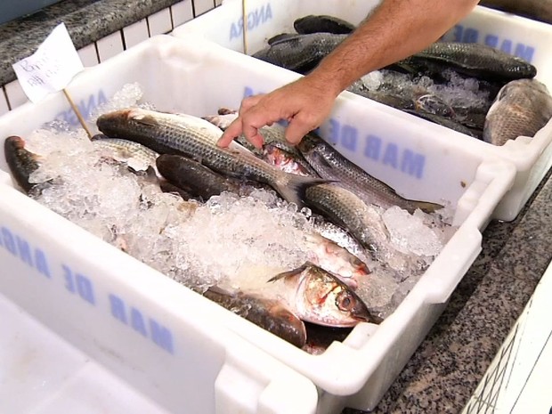 Preço do quilo de peixe varia até 130% em João Pessoa, aponta Procon-PB