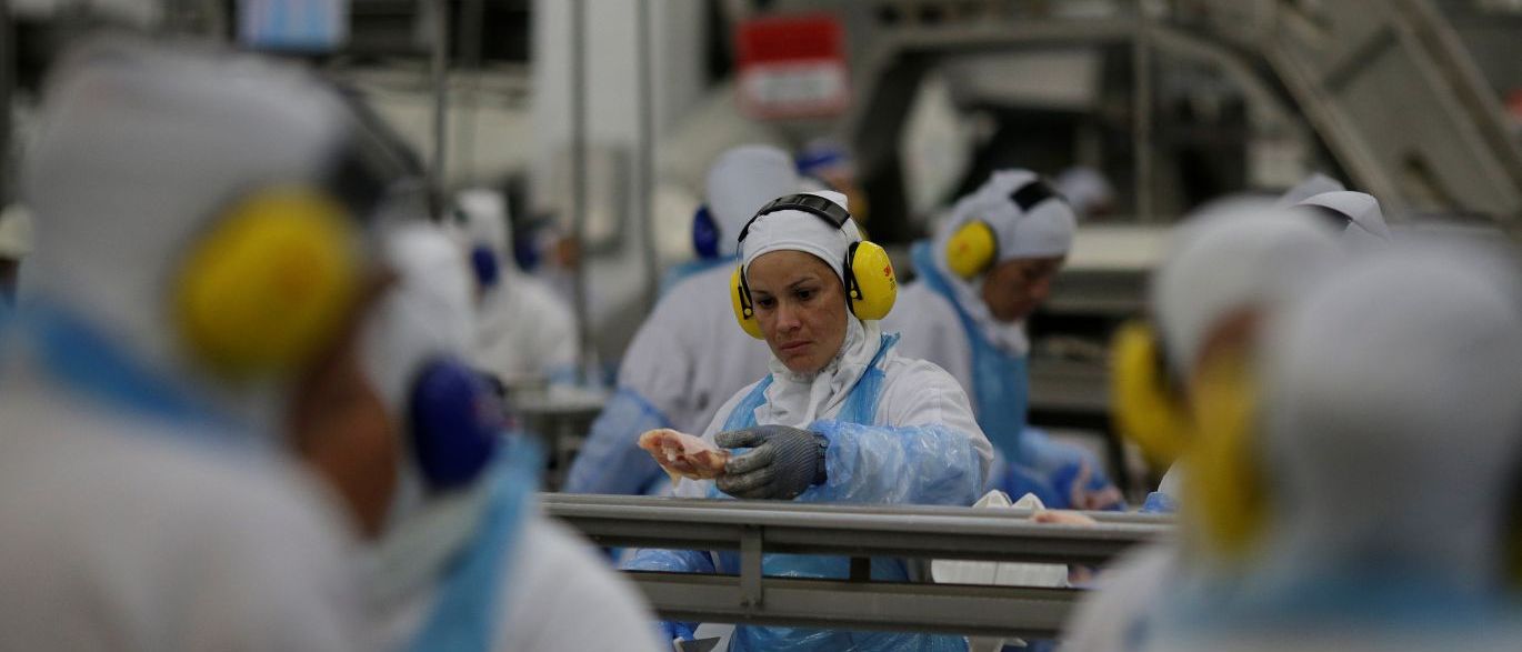 China retira restrições à importação de carne bovina da Austrália