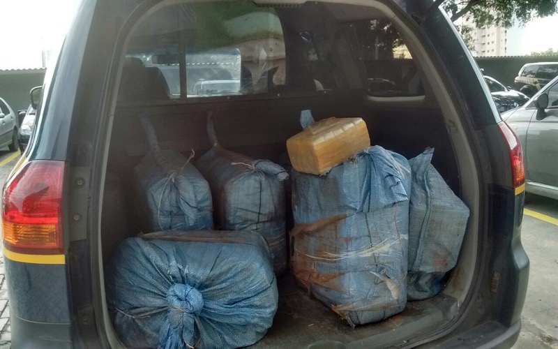 Polícia apreende 170 kg de pasta de cocaína em caminhão, na BR-116