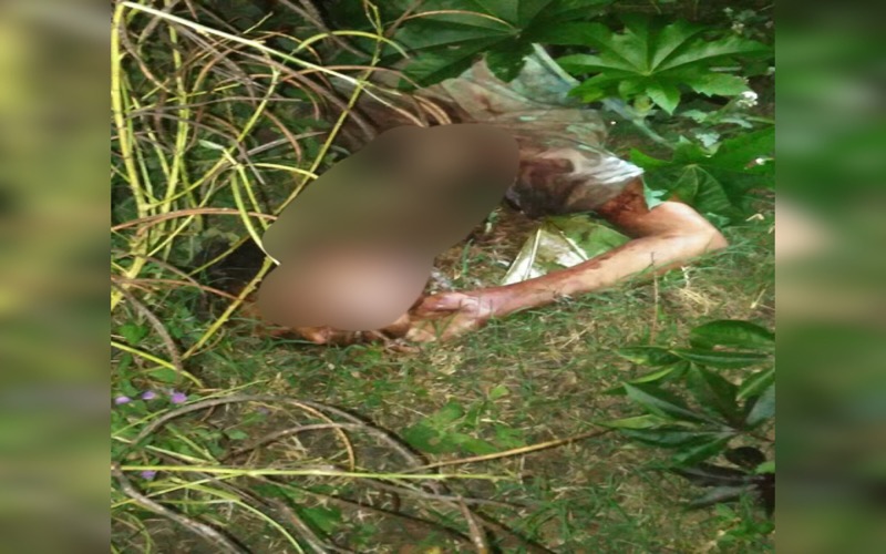 Juazeiro do Norte – Jovem de 17 anos é morto a facadas e tem cabeça decepada