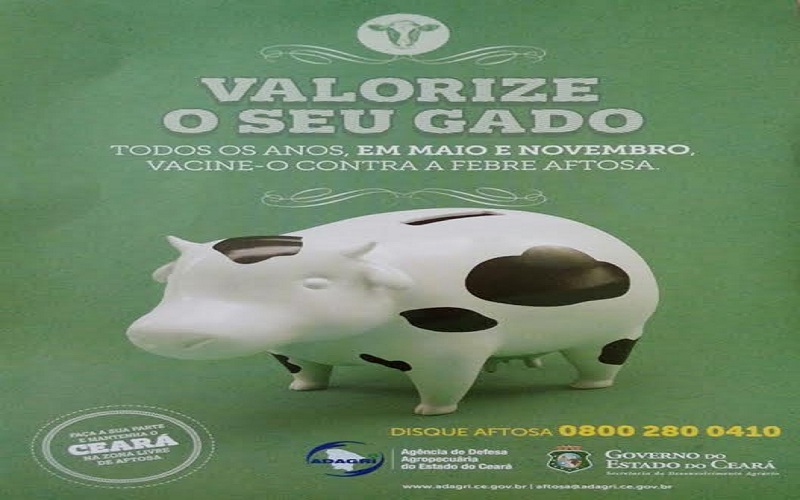 Campanha contra febre aftosa em Crato será iniciada no próximo dia 2 de maio