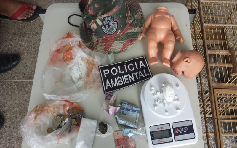Policia Militar Ambiental apreende drogas e animal da fauna silvestre no Morro da Coruja em Crato