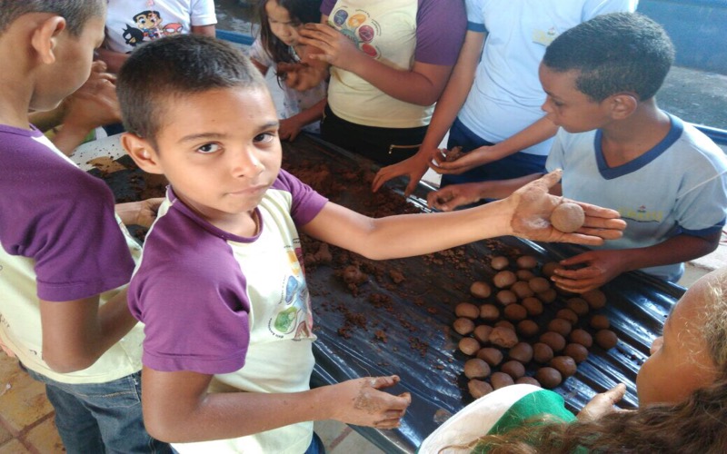 Crato – Alunos do distrito de Santa Fé confeccionam bombinhas de semente