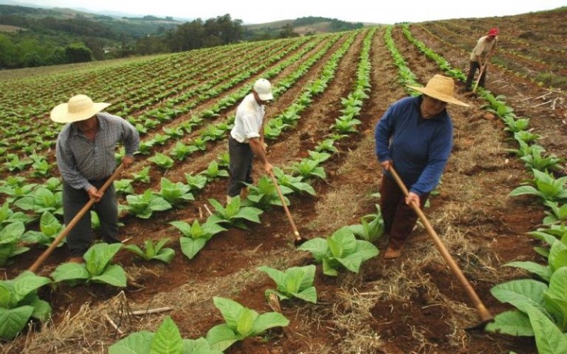 Produtor pode solicitar recursos do Plano Safra 2017/2018 a partir de segunda