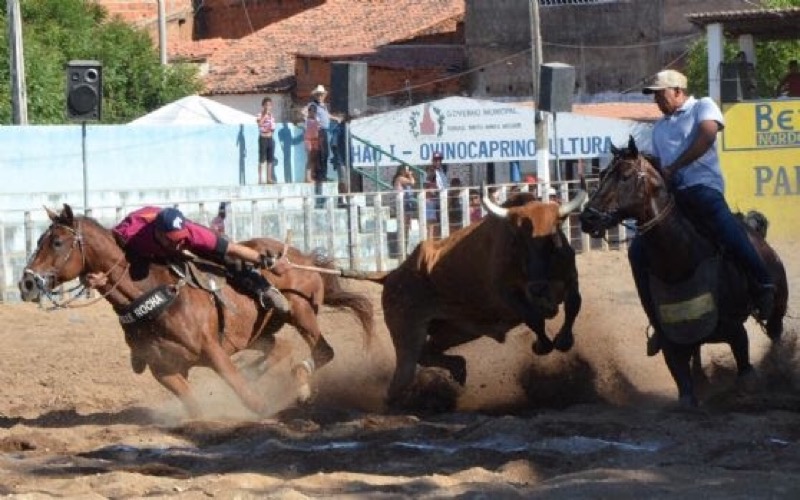 41ª Vaquejada de Juazeiro do Norte acontece de 6 a 9 de julho
