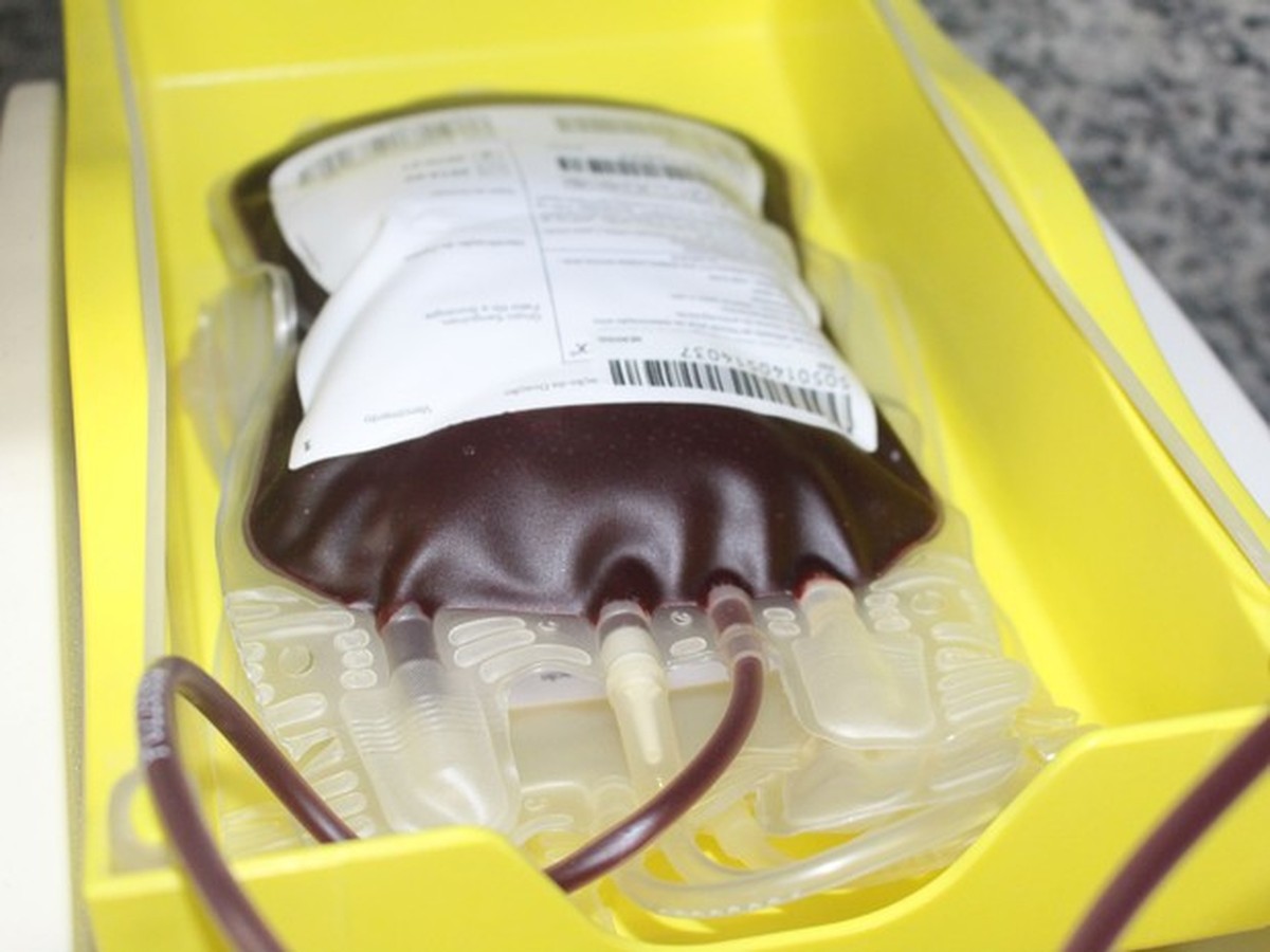 Ceará tem 80 doadores cadastrados no Hemoce com tipos sanguíneos considerados raros no mundo