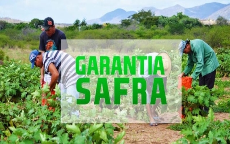 Informações gerais sobre Garantia Safra serão disponibilizadas próximo dia 21 em Crato