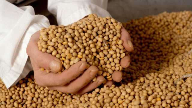 Agricultura vai liberar R$ 90 mi para seguro rural do segundo semestre