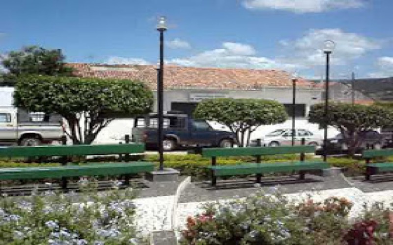 Administração. Tratamento de choque em Jardim