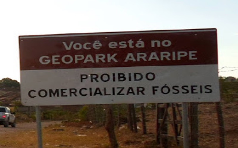 Tráfico. Fósseis do Cariri estão à venda na Europa e Estados Unidos