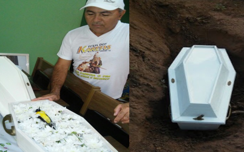 Curioso !Em Jardim homem vela e faz sepultamento de um pássaro