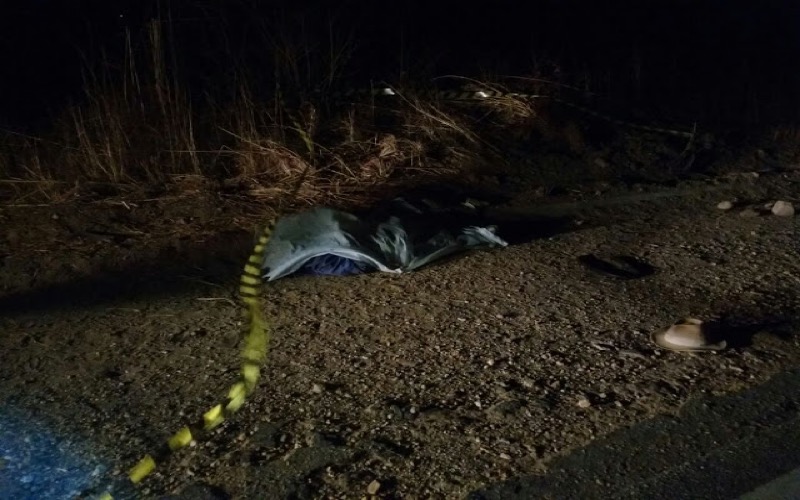 Homem morre vítima de atropelamento na BR 230 em Farias Brito