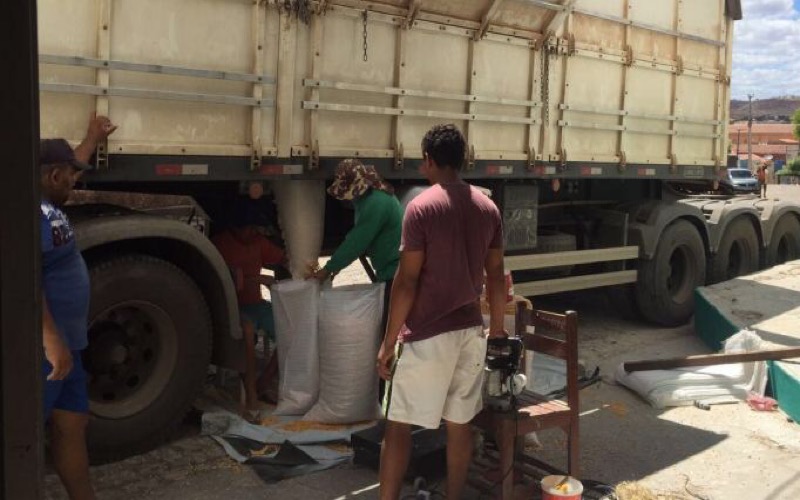 Lavras da Mangabeira recebe 49 toneladas de milho na unidade da Conab