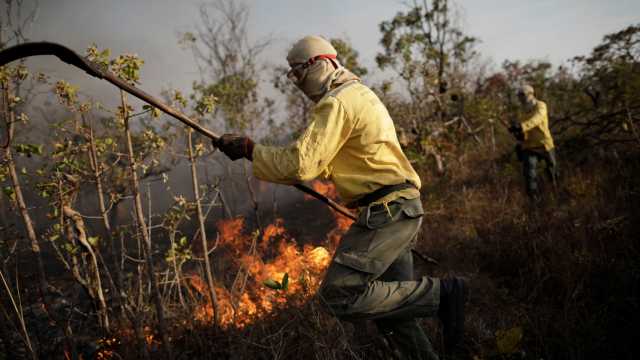 Estado já tem mais queimadas do que durante ano da pior estiagem