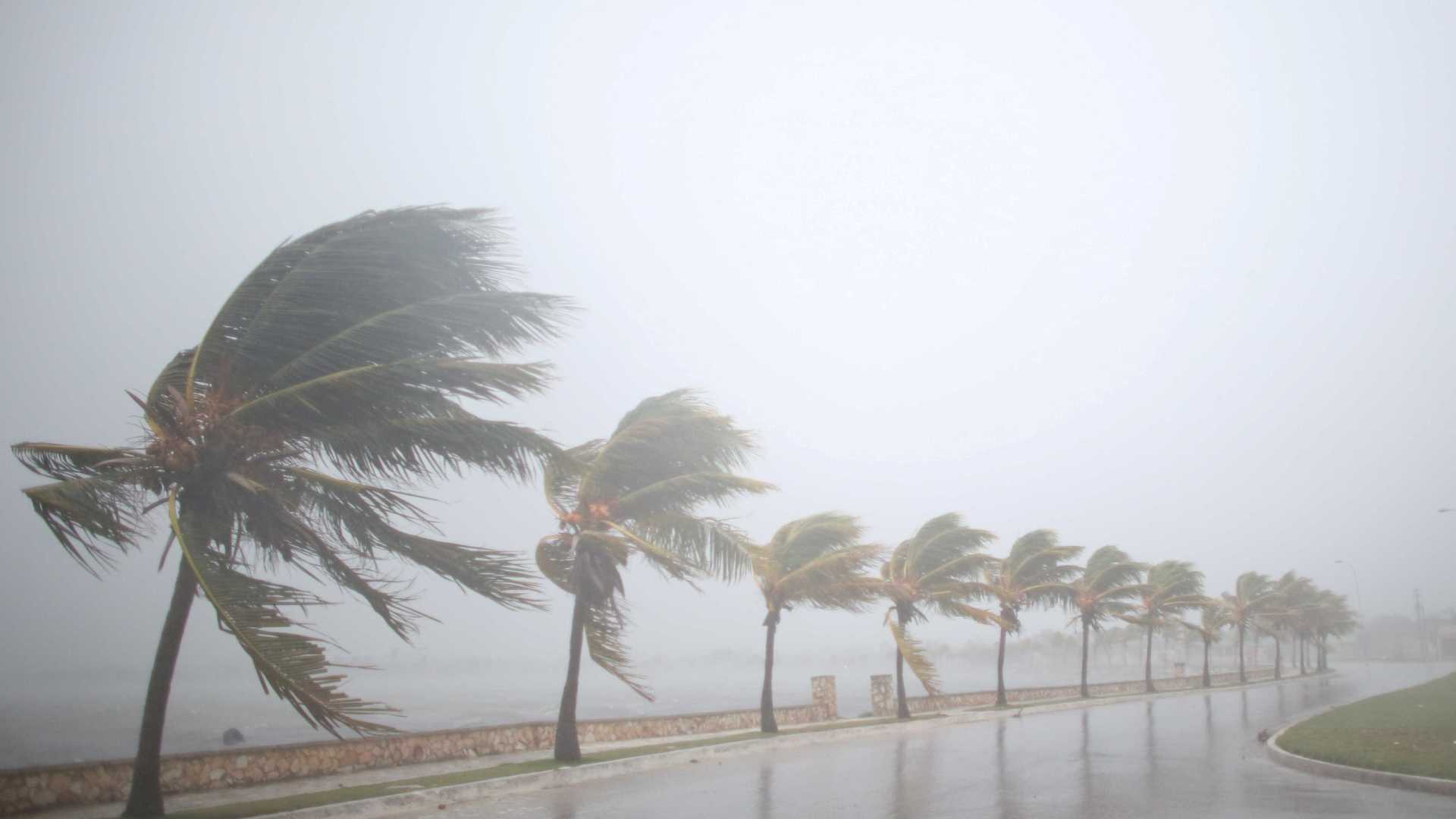 “Se decidirem ficar, não vão sobreviver ao Irma”, adverte governador