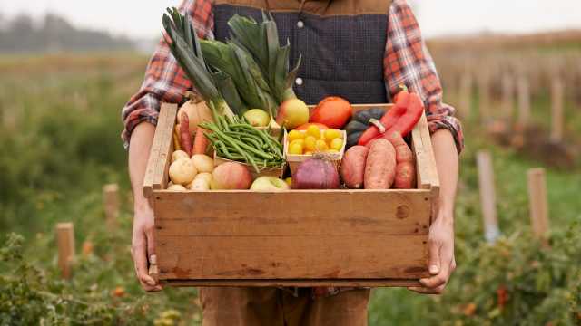 Brasil manda missão à Espanha para tentar vender mais frutas